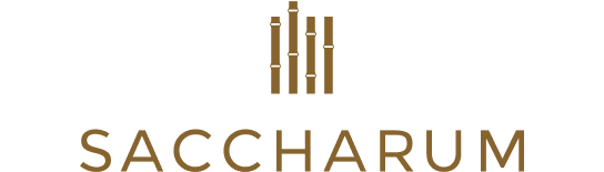 Saccharum
